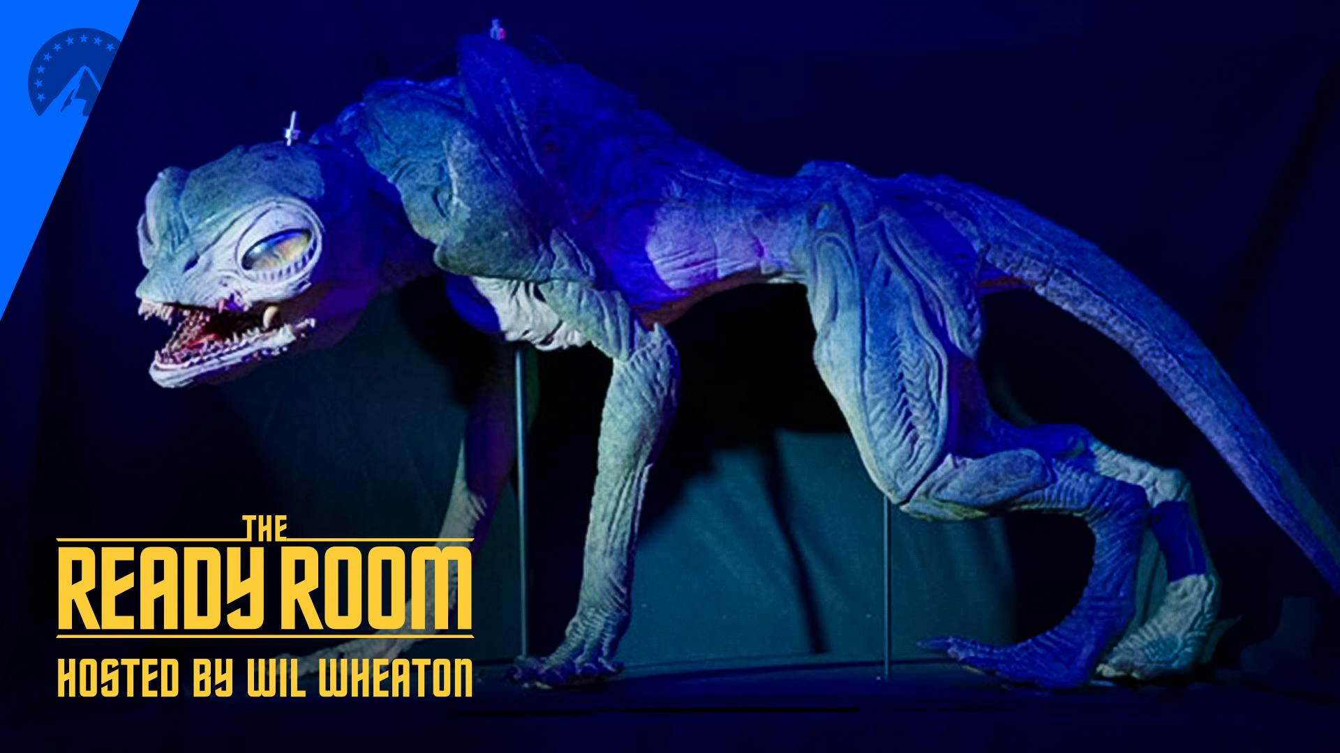 Close-up of the Gorn youngling puppet sculpture for The Ready Room's behind-the-scenes look at 'Hegemony'